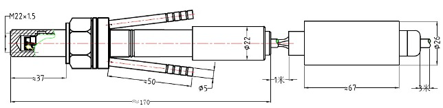 DPT202HT